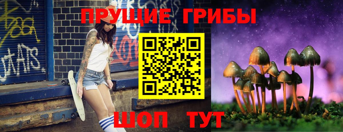 Псилоцибиновые грибы GOLDEN TEACHER  Вход с VPN  Орехово-Зуево 
